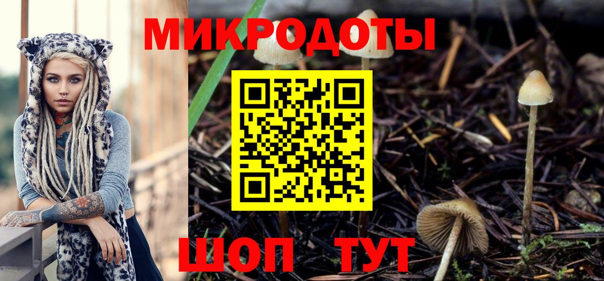 Псилоцибиновые грибы MAGIC MUSHROOMS  Вход с VPN  Галлюциногенные грибы ЛСД  цена   Железногорск 