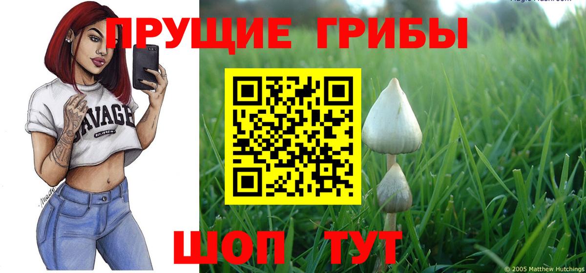 Галлюциногенные грибы мухоморы Железногорск